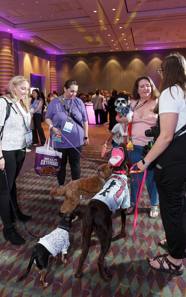 Group of women and dogs networking at the After Hours Party