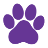 paw icon