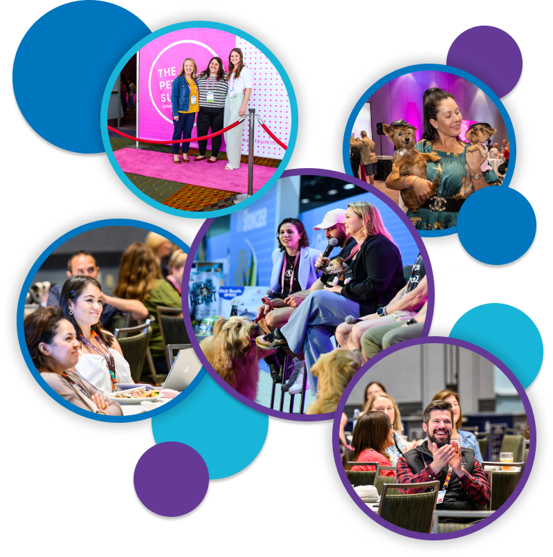 Circle graphics full of pet business professionals enjoying The Pet Summit