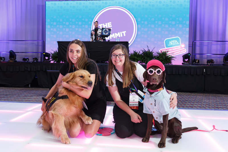 pet summit attendees at party